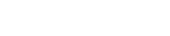 The New School, Parsons